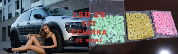 ГАЛЛЮЦИНОГЕННЫЕ ГРИБЫ Волоколамск