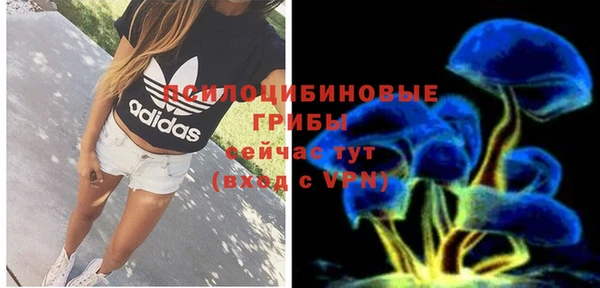 ГАЛЛЮЦИНОГЕННЫЕ ГРИБЫ Волоколамск