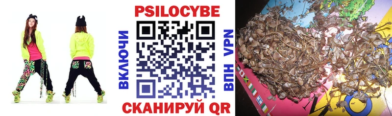Псилоцибиновые грибы Psilocybine cubensis  Альметьевск 