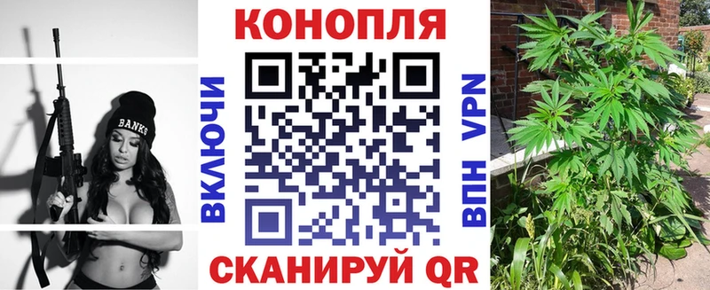 Бошки Шишки Amnesia  Альметьевск 